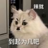 【客服】小鱼